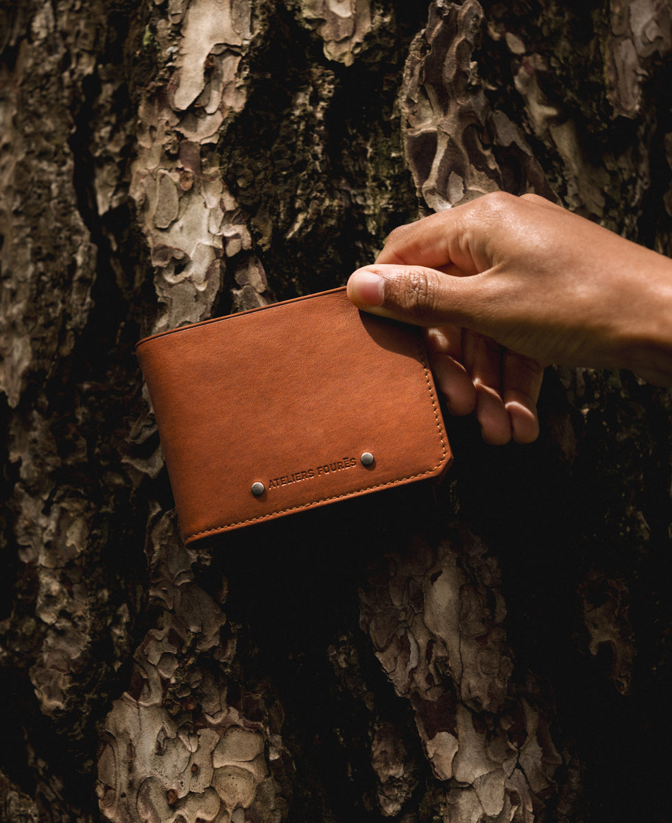 fauve #3666151006208