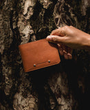 fauve #3666151006208