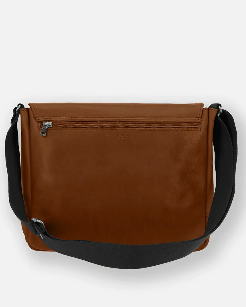 fauve #3666151007762