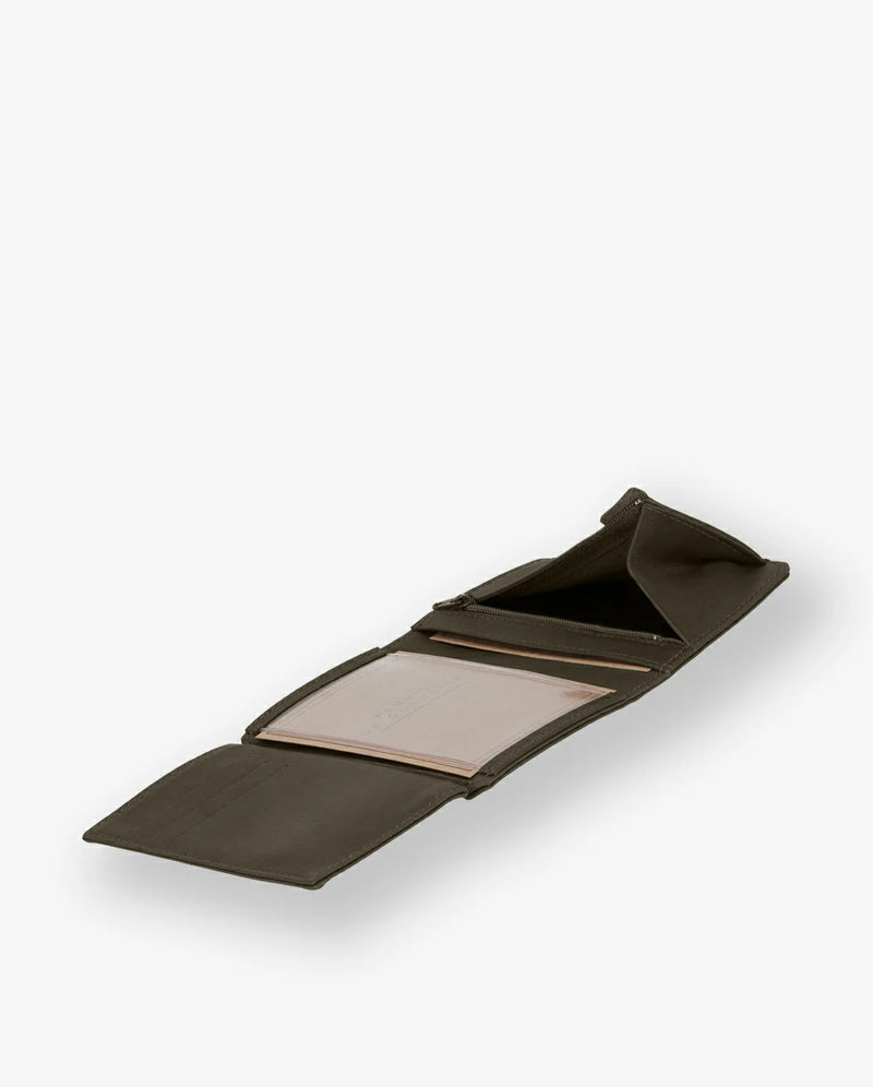 bronze #3666151003962