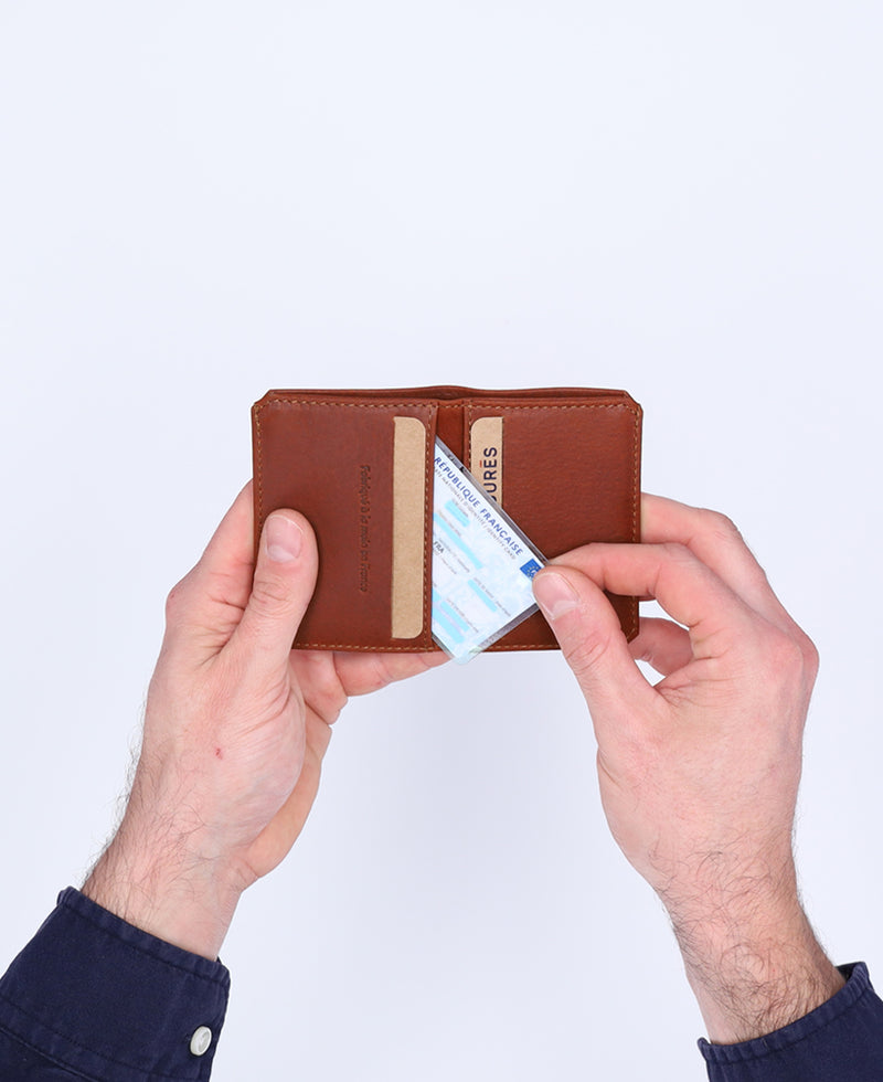 fauve #3666151005669