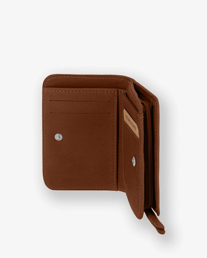 fauve #3666151012100