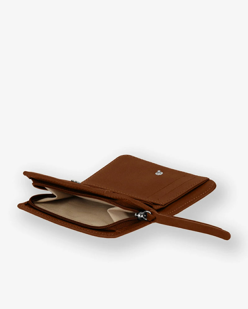 fauve #3666151012100