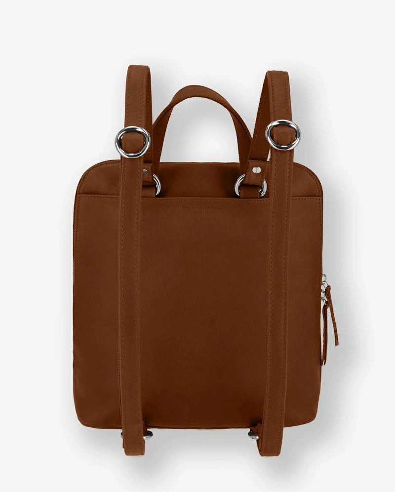 fauve #3666151017662