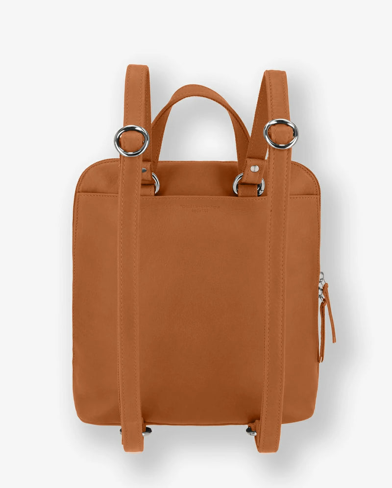 lionne #3666151025704