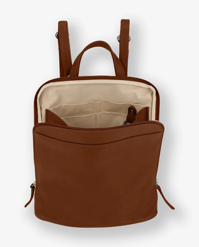 fauve #3666151017662