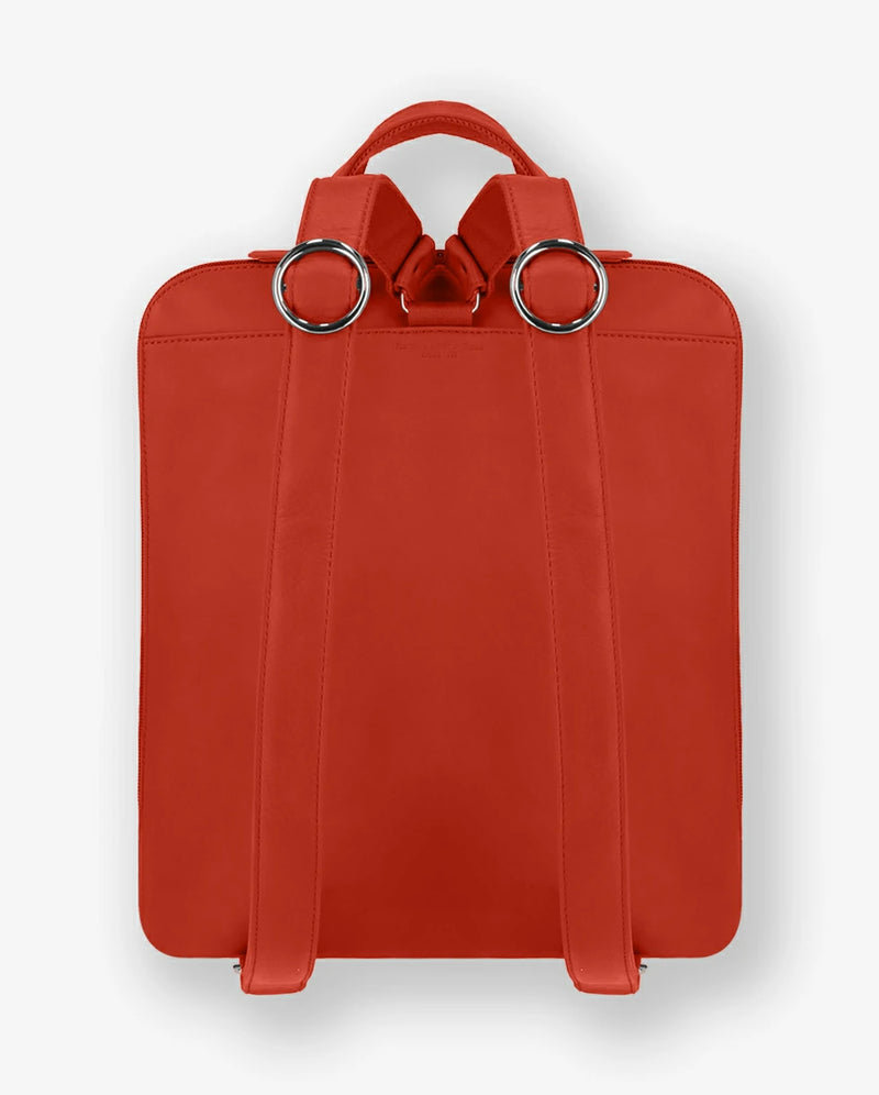 orange confite #3666151022581