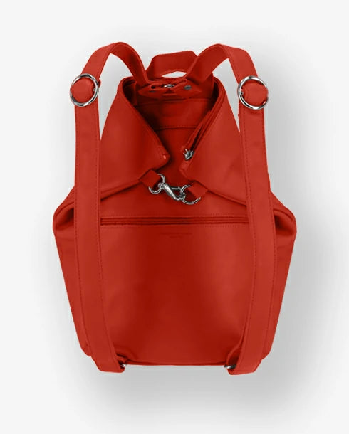 orange confite #3666151019970