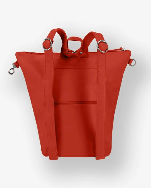 orange confite #3666151019970