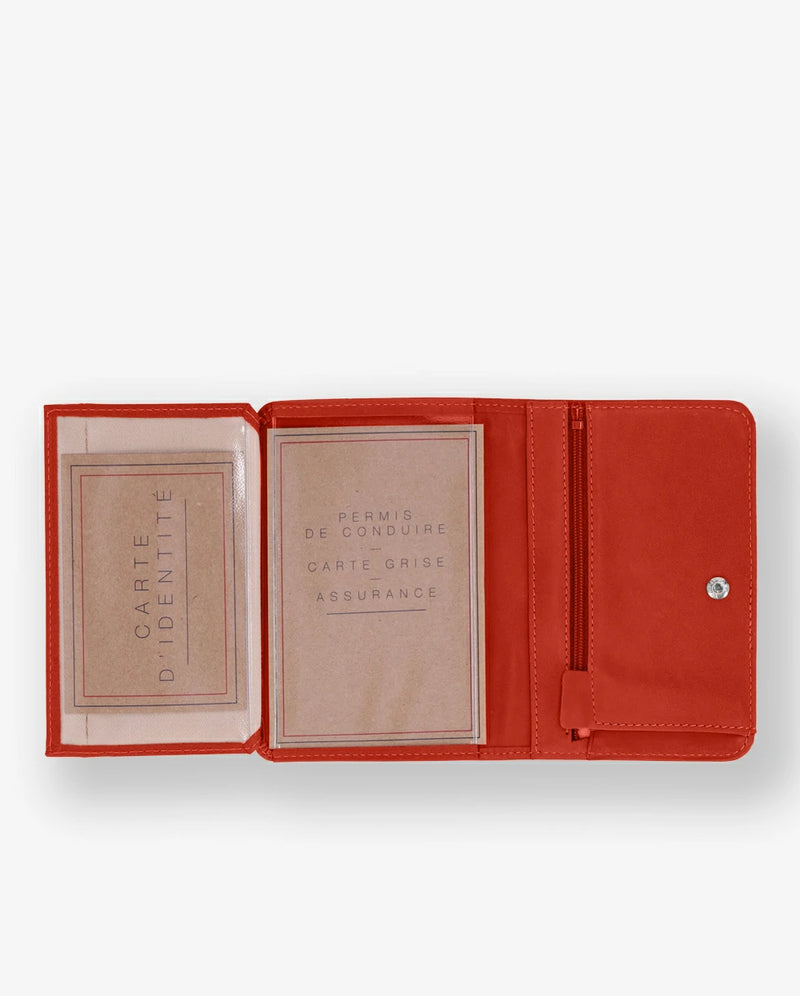 orange confite #3666151019659