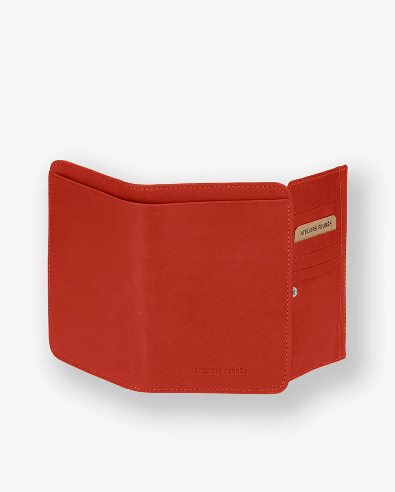 orange confite #3666151019659