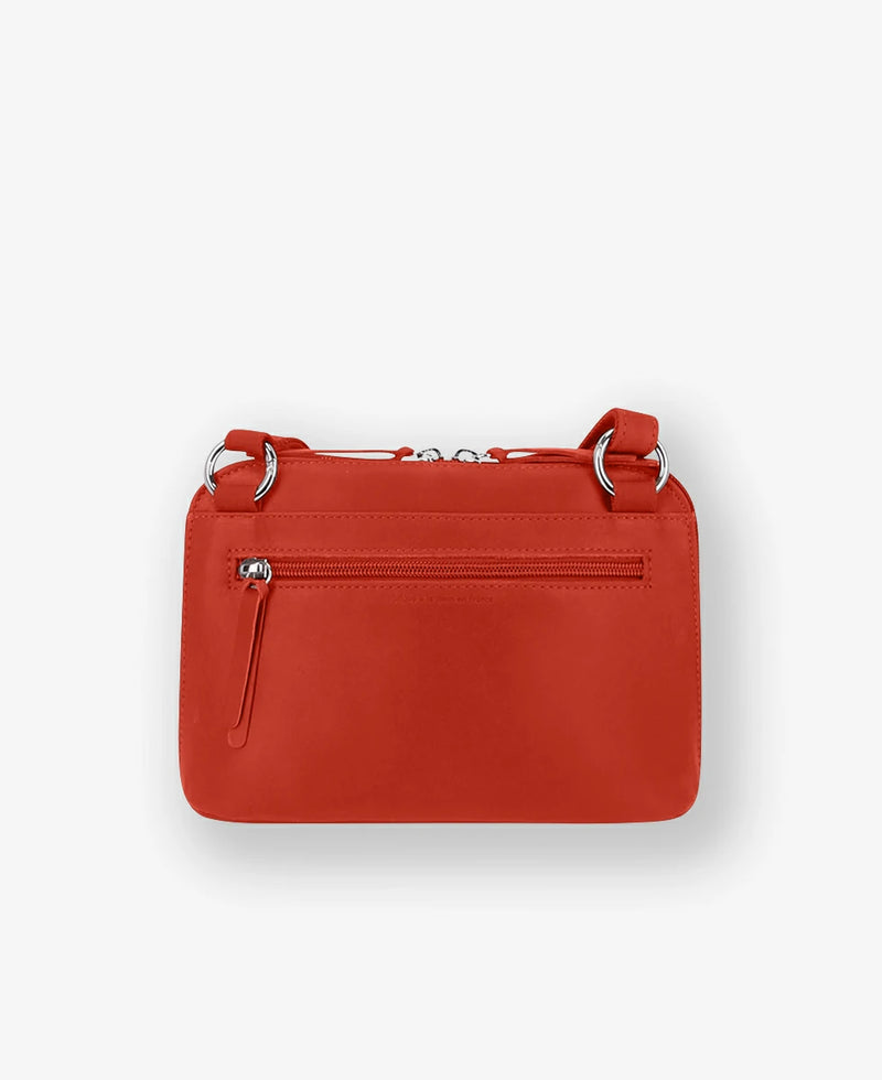 orange confite #3666151019376