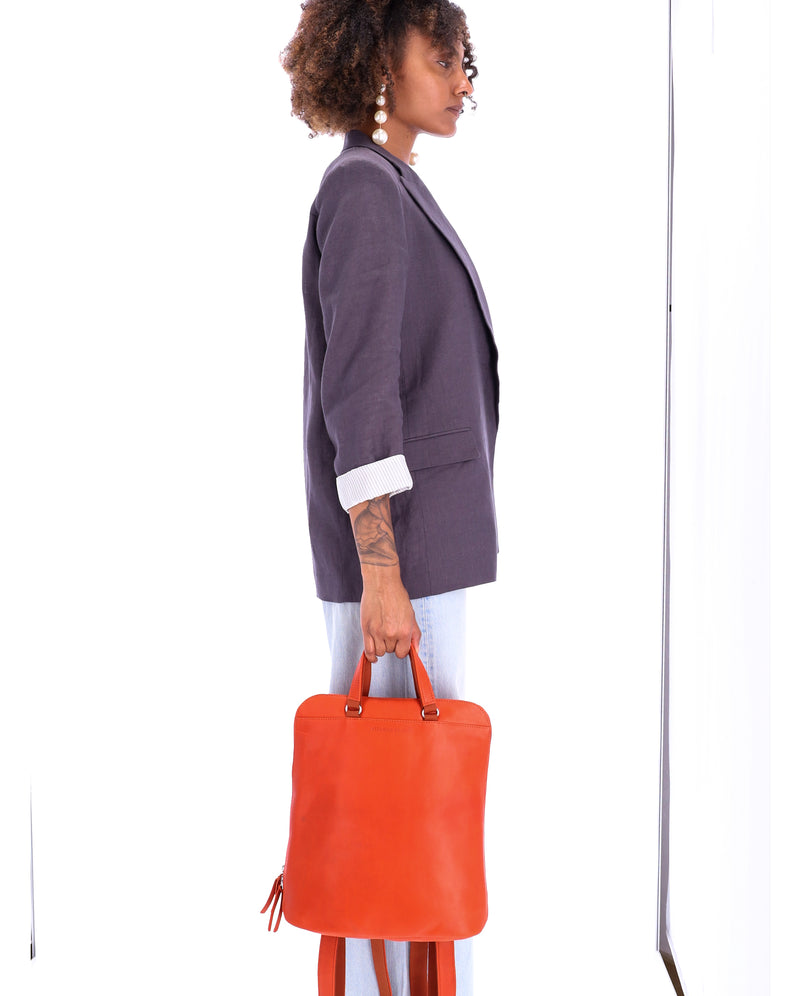 orange confite #3666151022581