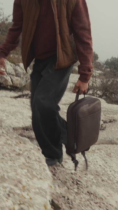 Argonaute en mustang