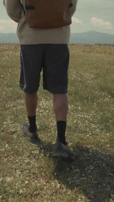 Aristote en désert et en marine